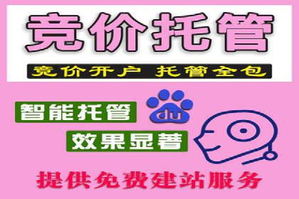小红书信息流广告优化策略，成功案例分享